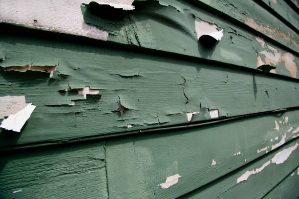 Siding Removal and Disposal in Bishop, TX